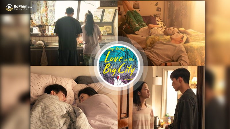 Khung Hình Và Màu Sắc Phim: Lãng Mạn Và Chữa Lành