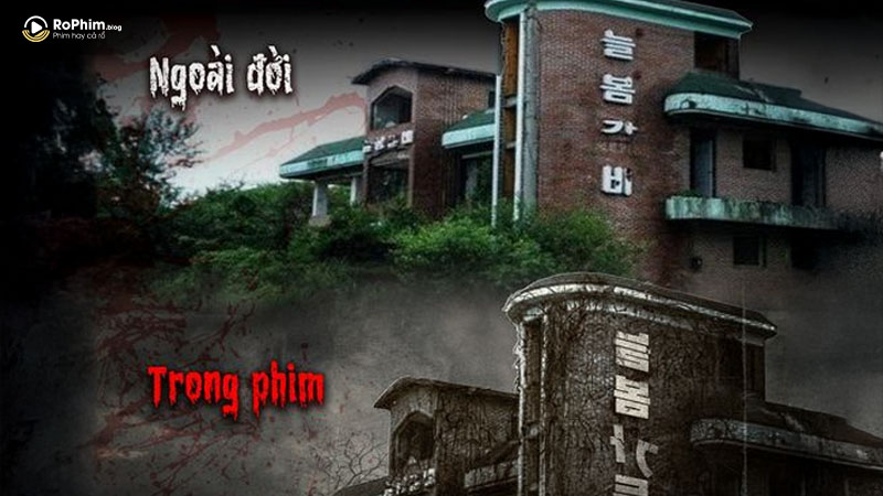 Trailer mới nhất phim Ai Oán Trong Vườn Xuân