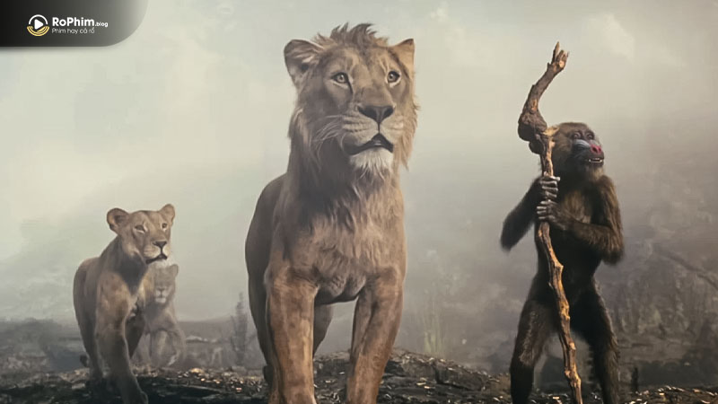 Jenkins cho rằng Mufasa là một cơ hội để anh thử sức với một thể loại mới 