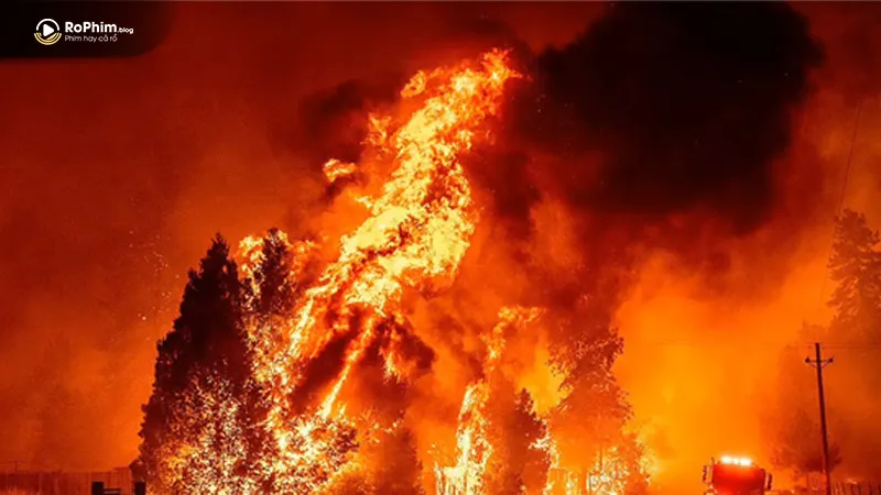 Tàn phá từ các đợt cháy rừng ở California