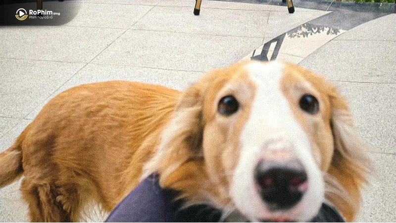 Hình ảnh duy nhất có nắng trong album với sắc màu tươi sáng ẩn ý cô đang cố gắng hồi phục